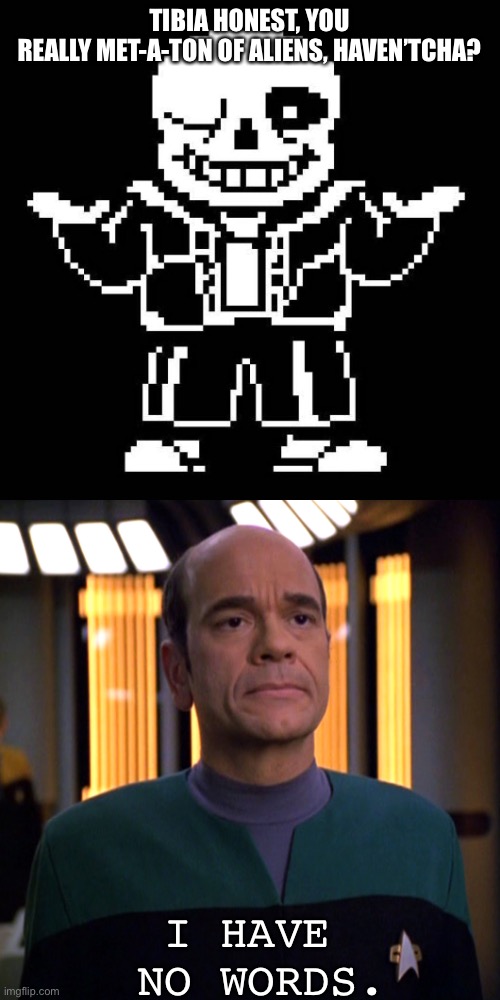 EMH reacts to Sans’ puns | TIBIA HONEST, YOU REALLY MET-A-TON OF ALIENS, HAVEN’TCHA? I HAVE 
NO WORDS. | image tagged in star trek voyager emh doctor,sans undertale | made w/ Imgflip meme maker