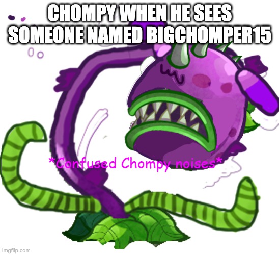 *confused Chompy noises* | CHOMPY WHEN HE SEES SOMEONE NAMED BIGCHOMPER15 | image tagged in confused chompy noises | made w/ Imgflip meme maker