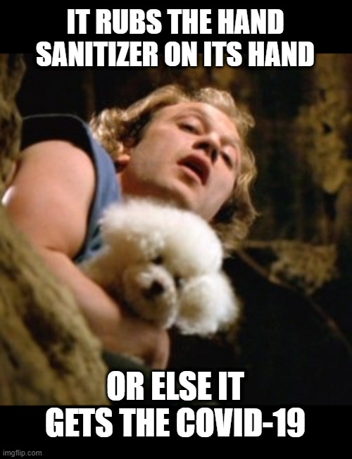 Let's Listen to Bill | IT RUBS THE HAND SANITIZER ON ITS HAND; OR ELSE IT GETS THE COVID-19 | image tagged in buffalo bill | made w/ Imgflip meme maker