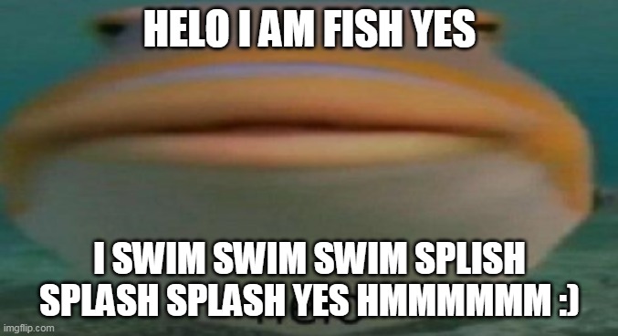 helo | HELO I AM FISH YES; I SWIM SWIM SWIM SPLISH SPLASH SPLASH YES HMMMMMM :) | image tagged in helo | made w/ Imgflip meme maker