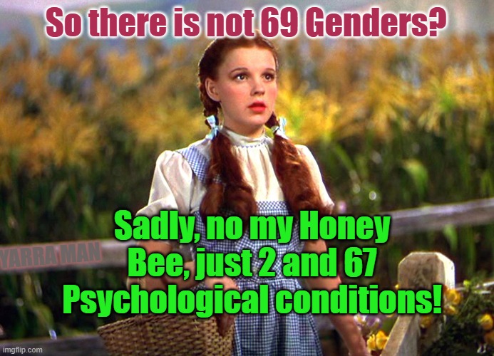 69 Genders | So there is not 69 Genders? Sadly, no my Honey Bee, just 2 and 67 Psychological conditions! YARRA MAN | image tagged in 69 genders | made w/ Imgflip meme maker