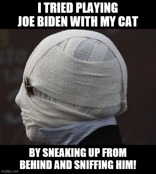 Let's call this the 'Cat Sniffing Challenge' | I TRIED PLAYING JOE BIDEN WITH MY CAT; BY SNEAKING UP FROM BEHIND AND SNIFFING HIM! | image tagged in memes,biden,senile,creep,election 2020 | made w/ Imgflip meme maker