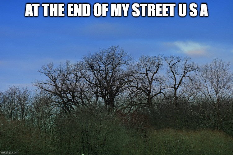 AT THE END OF MY STREET U S A | made w/ Imgflip meme maker