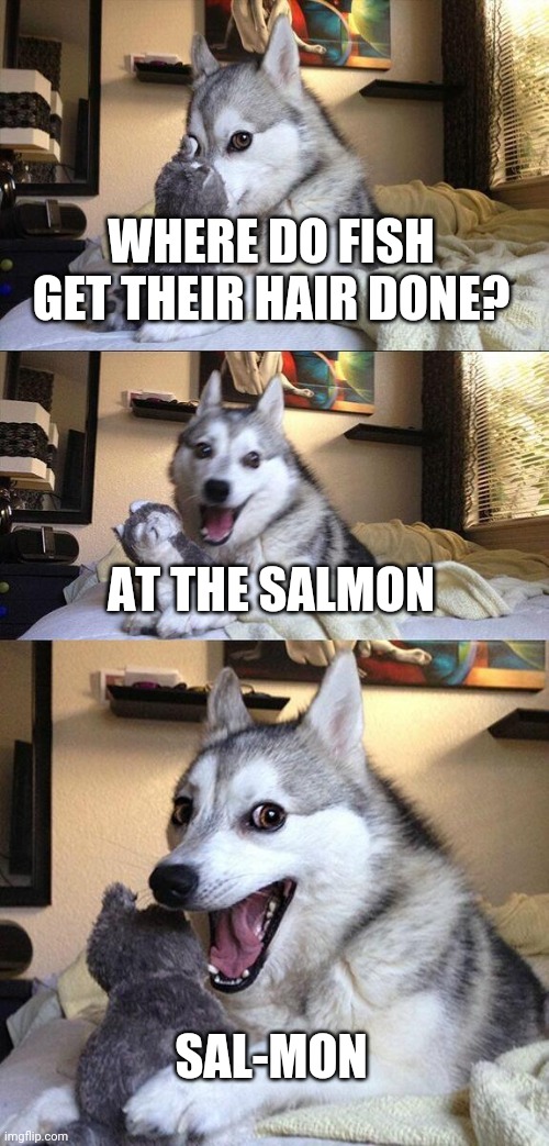 Bad Pun Dog | WHERE DO FISH GET THEIR HAIR DONE? AT THE SALMON; SAL-MON | image tagged in memes,bad pun dog | made w/ Imgflip meme maker