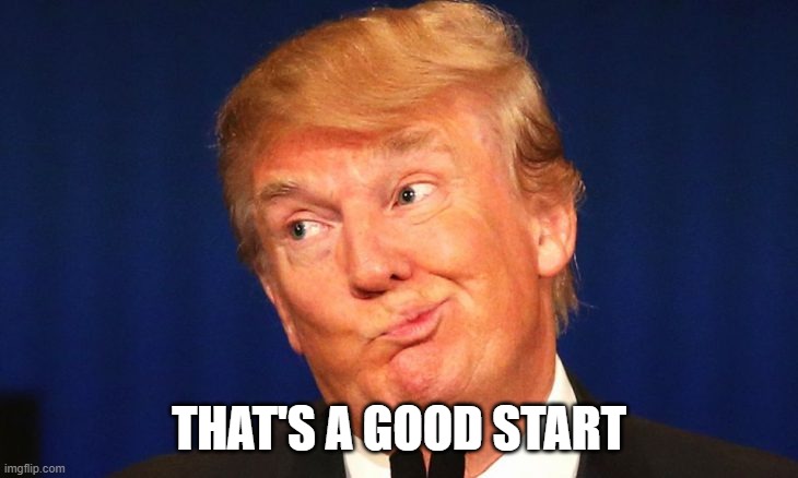 Trump thinking hard | THAT'S A GOOD START | image tagged in trump thinking hard | made w/ Imgflip meme maker