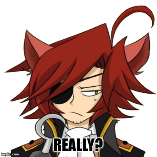 Unamused Foxy | REALLY? | image tagged in unamused foxy | made w/ Imgflip meme maker