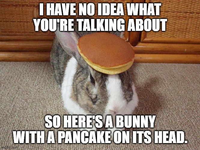 Pancake bunny | I HAVE NO IDEA WHAT YOU'RE TALKING ABOUT; SO HERE'S A BUNNY WITH A PANCAKE ON ITS HEAD. | image tagged in pancake bunny | made w/ Imgflip meme maker