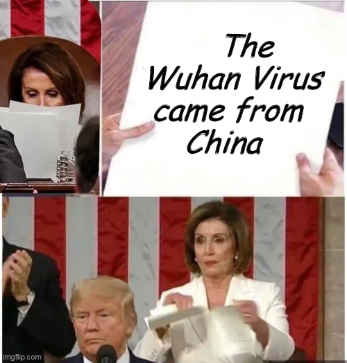 Nancy Pelosi rips paper | The
Wuhan Virus
came from 
China | image tagged in nancy pelosi rips paper | made w/ Imgflip meme maker