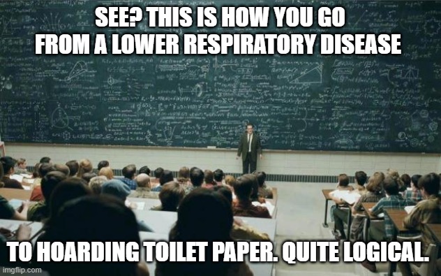 Professor in front of class | SEE? THIS IS HOW YOU GO FROM A LOWER RESPIRATORY DISEASE; TO HOARDING TOILET PAPER. QUITE LOGICAL. | image tagged in professor in front of class | made w/ Imgflip meme maker