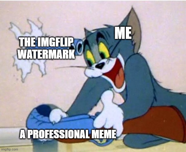 Tom and Jerry | ME; THE IMGFLIP WATERMARK; A PROFESSIONAL MEME | image tagged in tom and jerry | made w/ Imgflip meme maker