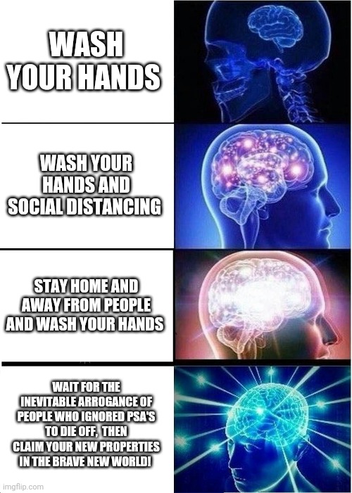 Expanding Brain Meme | WASH YOUR HANDS; WASH YOUR HANDS AND SOCIAL DISTANCING; STAY HOME AND AWAY FROM PEOPLE AND WASH YOUR HANDS; WAIT FOR THE INEVITABLE ARROGANCE OF PEOPLE WHO IGNORED PSA'S TO DIE OFF,  THEN CLAIM YOUR NEW PROPERTIES IN THE BRAVE NEW WORLD! | image tagged in memes,expanding brain | made w/ Imgflip meme maker