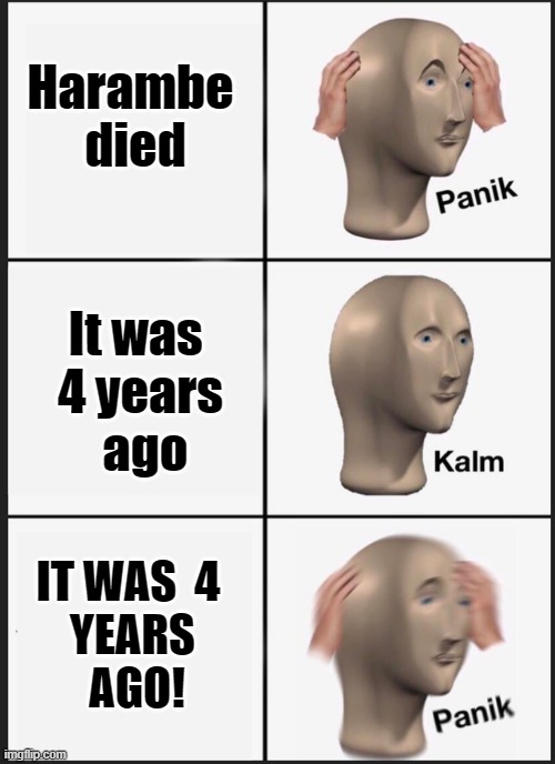 Harambe 
died; It was 
4 years
 ago; IT WAS  4  
YEARS 
AGO! | image tagged in harambe,panik kalm | made w/ Imgflip meme maker