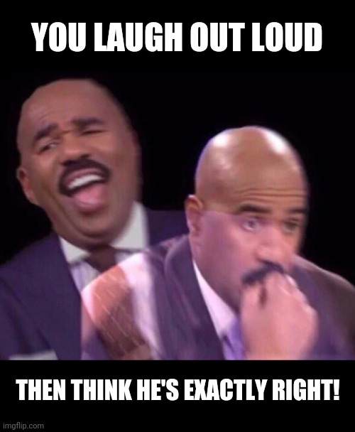 Steve Harvey Laughing Serious | YOU LAUGH OUT LOUD THEN THINK HE'S EXACTLY RIGHT! | image tagged in steve harvey laughing serious | made w/ Imgflip meme maker