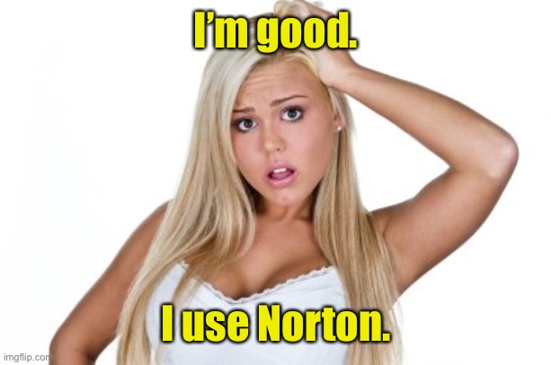 Dumb Blonde | I’m good. I use Norton. | image tagged in dumb blonde | made w/ Imgflip meme maker