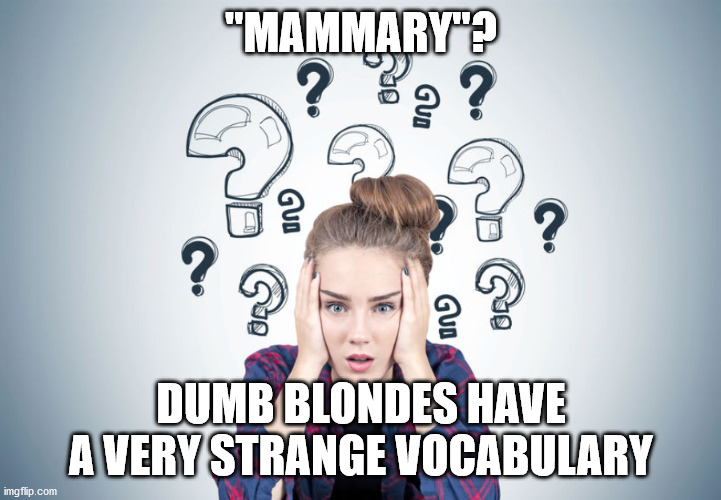 Total confusion | "MAMMARY"? DUMB BLONDES HAVE A VERY STRANGE VOCABULARY | image tagged in total confusion | made w/ Imgflip meme maker