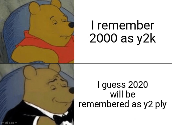 Tuxedo Winnie The Pooh | I remember 2000 as y2k; I guess 2020 will be remembered as y2 ply | image tagged in memes,tuxedo winnie the pooh | made w/ Imgflip meme maker