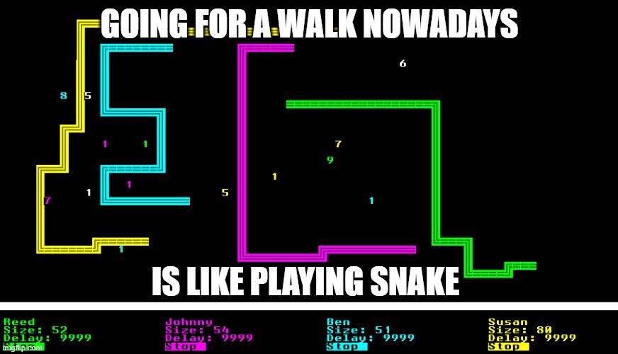 GOING FOR A WALK NOWADAYS; IS LIKE PLAYING SNAKE | image tagged in coronavirus,snake,video game | made w/ Imgflip meme maker