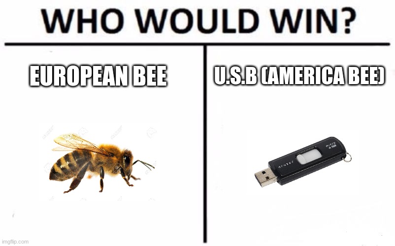 Who Would Win? Meme | EUROPEAN BEE; U.S.B (AMERICA BEE) | image tagged in bee,usb,usa | made w/ Imgflip meme maker