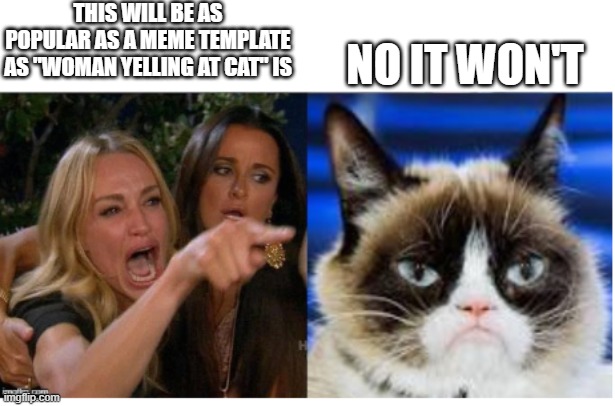 Woman yelling a Grumpy Cat | THIS WILL BE AS POPULAR AS A MEME TEMPLATE AS "WOMAN YELLING AT CAT" IS; NO IT WON'T | image tagged in woman yelling a grumpy cat | made w/ Imgflip meme maker