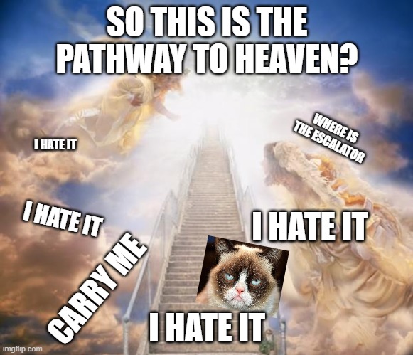 stairs to heaven | SO THIS IS THE PATHWAY TO HEAVEN? WHERE IS THE ESCALATOR; I HATE IT; I HATE IT; I HATE IT; CARRY ME; I HATE IT | image tagged in stairs to heaven | made w/ Imgflip meme maker