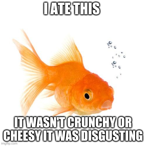 Gold Fish | I ATE THIS; IT WASN'T CRUNCHY OR CHEESY IT WAS DISGUSTING | image tagged in gold fish | made w/ Imgflip meme maker