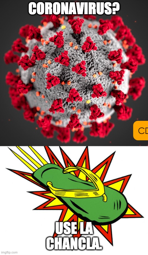 corona slap | CORONAVIRUS? USE LA CHANCLA. | image tagged in coronavirus,slippers,slap | made w/ Imgflip meme maker