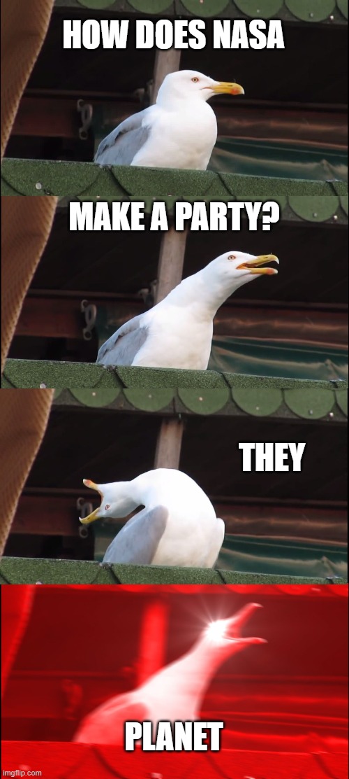 Inhaling Seagull Meme | HOW DOES NASA; MAKE A PARTY? THEY; PLANET | image tagged in memes,inhaling seagull | made w/ Imgflip meme maker