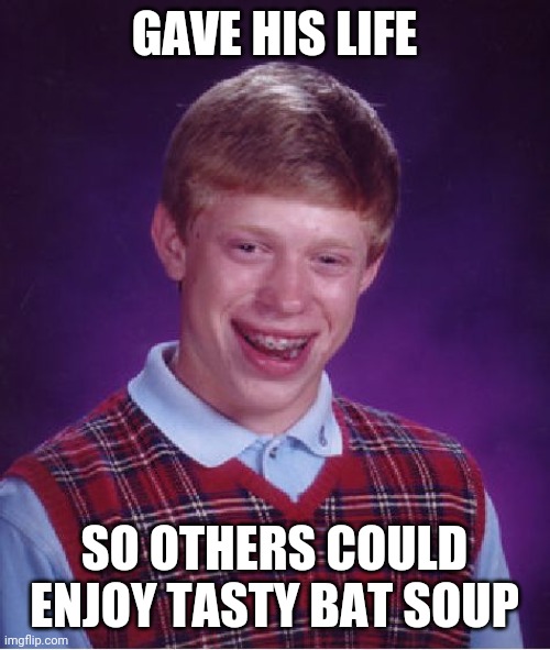 Bad Luck Brian Meme | GAVE HIS LIFE; SO OTHERS COULD ENJOY TASTY BAT SOUP | image tagged in memes,bad luck brian | made w/ Imgflip meme maker