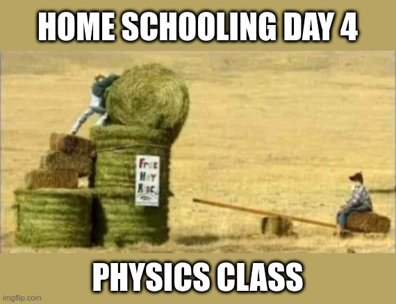 Home Schooling | HOME SCHOOLING DAY 4; PHYSICS CLASS | image tagged in home school,coronavirus,funny memes | made w/ Imgflip meme maker