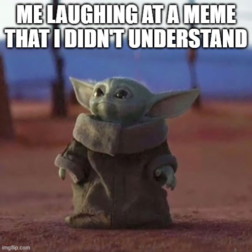 Baby Yoda | ME LAUGHING AT A MEME THAT I DIDN'T UNDERSTAND | image tagged in baby yoda | made w/ Imgflip meme maker