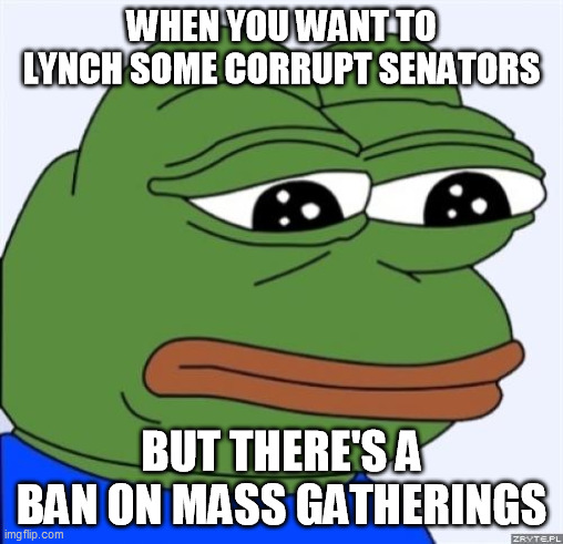 sad frog | WHEN YOU WANT TO LYNCH SOME CORRUPT SENATORS; BUT THERE'S A BAN ON MASS GATHERINGS | image tagged in sad frog | made w/ Imgflip meme maker