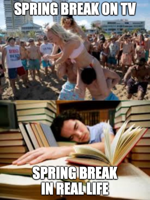 Spring Break Expectations vs Reality | SPRING BREAK ON TV; SPRING BREAK IN REAL LIFE | image tagged in spring break,college,memes,funny memes,fun | made w/ Imgflip meme maker