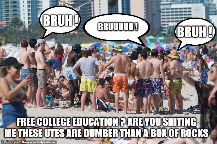 yep | BRUH ! BRUH ! BRUUUUH ! FREE COLLEGE EDUCATION ? ARE YOU SHITING ME THESE UTES ARE DUMBER THAN A BOX OF ROCKS | image tagged in millennials,coronavirus | made w/ Imgflip meme maker