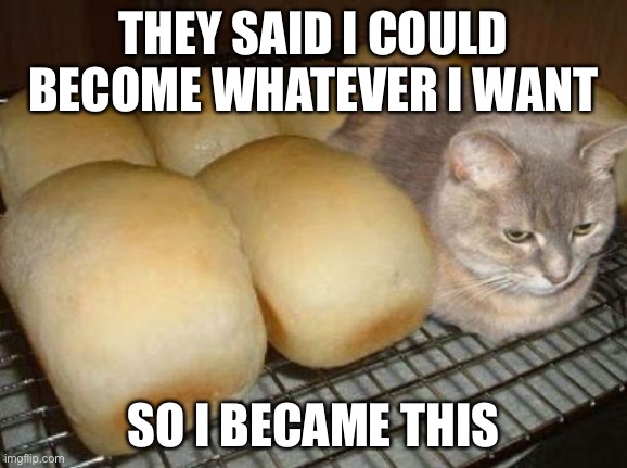 cat loaf | THEY SAID I COULD BECOME WHATEVER I WANT; SO I BECAME THIS | image tagged in cat loaf | made w/ Imgflip meme maker