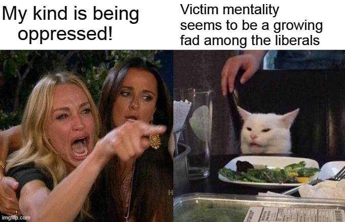 Politicat #4 | My kind is being      oppressed! Victim mentality seems to be a growing fad among the liberals | image tagged in memes,woman yelling at cat,crazy lady,republican,funny,cat memes | made w/ Imgflip meme maker