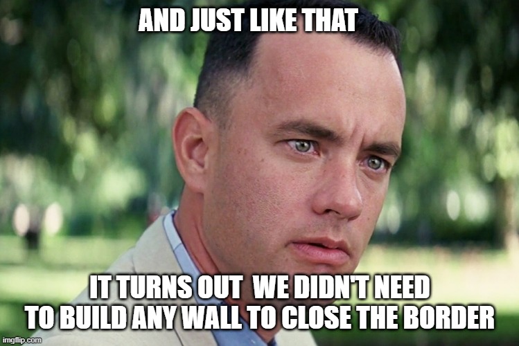 And Just Like That | AND JUST LIKE THAT; IT TURNS OUT  WE DIDN'T NEED TO BUILD ANY WALL TO CLOSE THE BORDER | image tagged in memes,and just like that | made w/ Imgflip meme maker