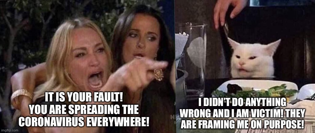 woman yelling at cat | I DIDN’T DO ANYTHING WRONG AND I AM VICTIM! THEY ARE FRAMING ME ON PURPOSE! IT IS YOUR FAULT! YOU ARE SPREADING THE CORONAVIRUS EVERYWHERE! | image tagged in woman yelling at cat,coronavirus,victim | made w/ Imgflip meme maker