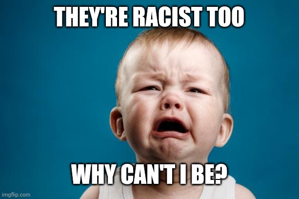 BABY CRYING | THEY'RE RACIST TOO WHY CAN'T I BE? | image tagged in baby crying | made w/ Imgflip meme maker