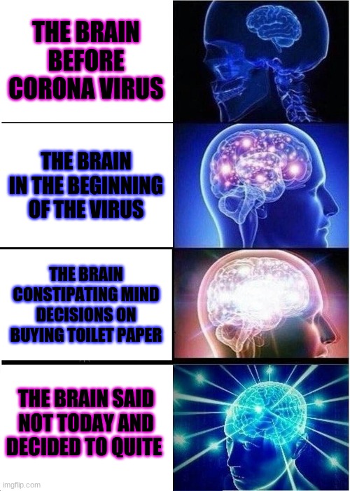 the brain hearing about this | THE BRAIN BEFORE CORONA VIRUS; THE BRAIN IN THE BEGINNING OF THE VIRUS; THE BRAIN CONSTIPATING MIND DECISIONS ON BUYING TOILET PAPER; THE BRAIN SAID NOT TODAY AND DECIDED TO QUITE | image tagged in memes,expanding brain | made w/ Imgflip meme maker