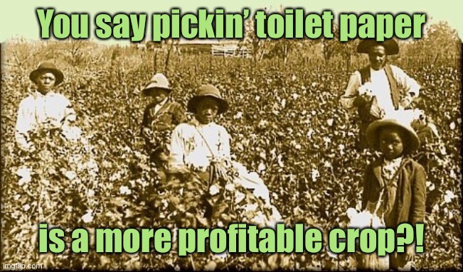 TPed houses are the mother lode | You say pickin’ toilet paper; is a more profitable crop?! | image tagged in cotton slaves,toilet paper,pickers,crop,profit,funny memes | made w/ Imgflip meme maker