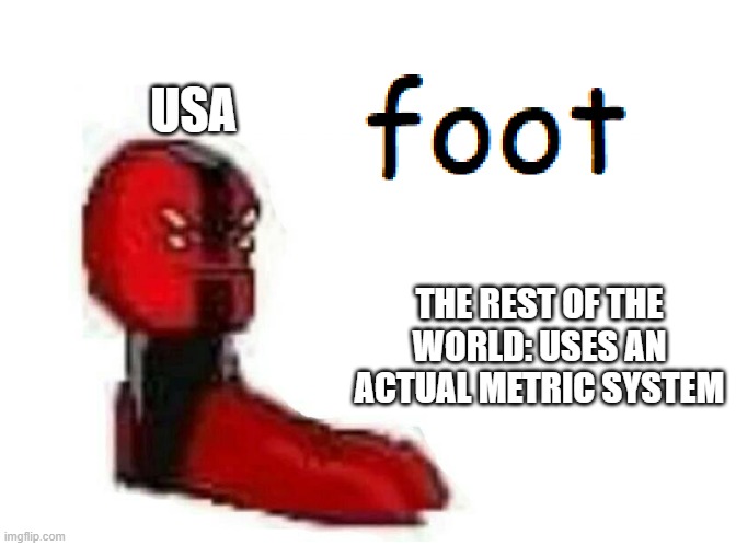 feet | USA; THE REST OF THE WORLD: USES AN ACTUAL METRIC SYSTEM | image tagged in memes,foot | made w/ Imgflip meme maker