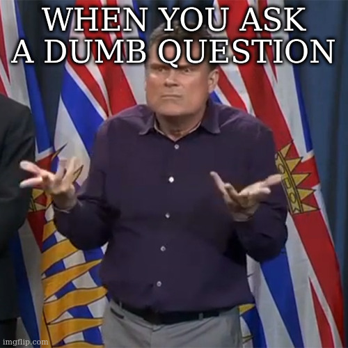 Dunno | WHEN YOU ASK A DUMB QUESTION | image tagged in dunno | made w/ Imgflip meme maker