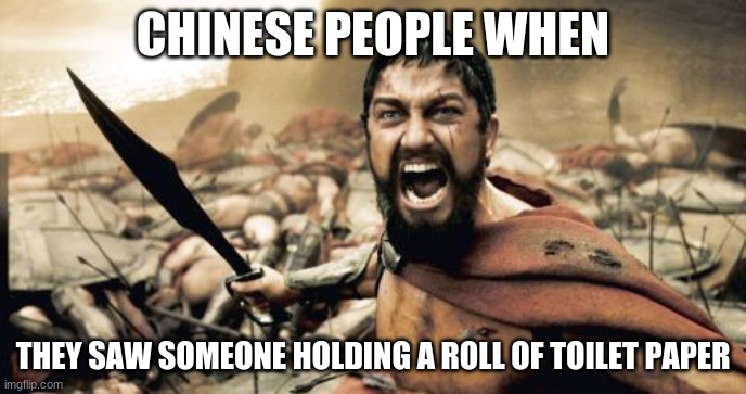 Sparta Leonidas Meme | CHINESE PEOPLE WHEN; THEY SAW SOMEONE HOLDING A ROLL OF TOILET PAPER | image tagged in memes,sparta leonidas | made w/ Imgflip meme maker