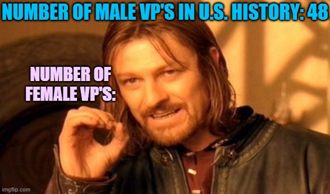When they accuse Joe Biden of "sexism" for committing to choose a female VP | NUMBER OF MALE VP'S IN U.S. HISTORY: 48; NUMBER OF FEMALE VP'S: | image tagged in memes,one does not simply,sexism,feminism,joe biden,vice president | made w/ Imgflip meme maker
