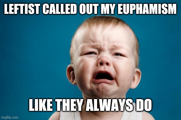 BABY CRYING | LEFTIST CALLED OUT MY EUPHAMISM LIKE THEY ALWAYS DO | image tagged in baby crying | made w/ Imgflip meme maker