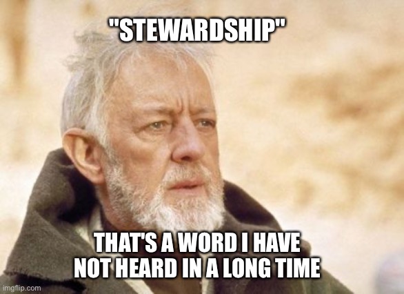 Obi Wan Kenobi Meme | "STEWARDSHIP"; THAT'S A WORD I HAVE NOT HEARD IN A LONG TIME | image tagged in memes,obi wan kenobi | made w/ Imgflip meme maker