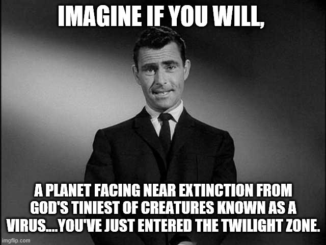 rod serling twilight zone | IMAGINE IF YOU WILL, A PLANET FACING NEAR EXTINCTION FROM GOD'S TINIEST OF CREATURES KNOWN AS A VIRUS....YOU'VE JUST ENTERED THE TWILIGHT ZONE. | image tagged in rod serling twilight zone | made w/ Imgflip meme maker