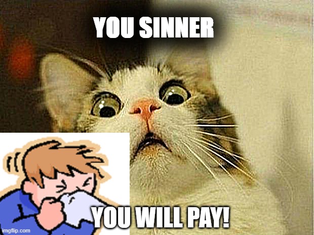 Scared Cat | YOU SINNER; YOU WILL PAY! | image tagged in memes,scared cat | made w/ Imgflip meme maker