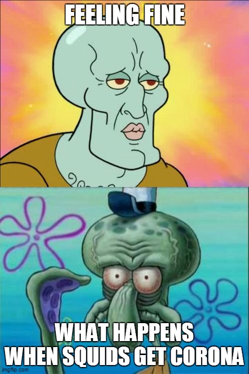 Squidward Meme | FEELING FINE; WHAT HAPPENS WHEN SQUIDS GET CORONA | image tagged in memes,squidward | made w/ Imgflip meme maker
