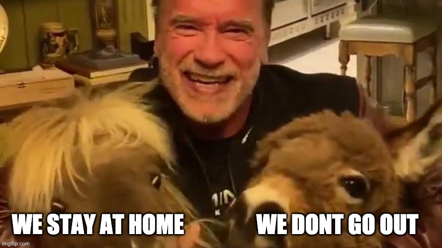 WE DONT GO OUT; WE STAY AT HOME | image tagged in arnold schwarzenegger,arnold meme,coronavirus,horse,donkey | made w/ Imgflip meme maker